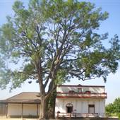 Pio Pico State Historic Park (SHP)