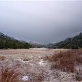 Palomar Mountain State Park (SP)