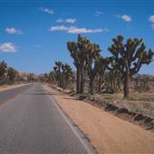 Joshua Tree National Park - NPS