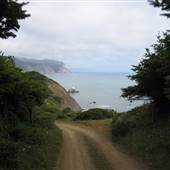 Briceland Road