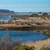 Elkhorn Slough National Estuarine Research Reserve