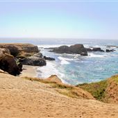 Van Damme State Park (SP) / Beach / Pygmy Forest / Fern Canyon Trail / Spring Ranch Trail