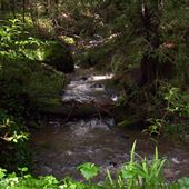 Camp Meeker