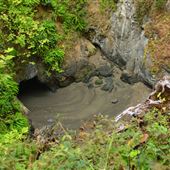 Little River Blowhole Trail