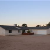 Joshua Tree Garden / Joshuatreezone19