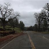 Payne's Creek