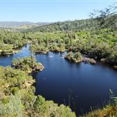 Black Swan Trail