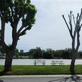 Lake Minden