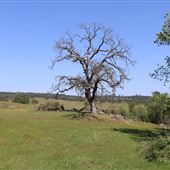 Waldo Junction