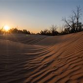 Heber Dunes State Vehicular Recreation Area (SVRA)