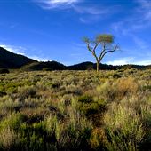 Hungry Valley State Vehicle Recreation Area - SVRA