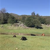 Garbani Ranch