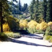 Forest Service Road 2N10 East of 2N86