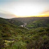 Aliso and Wood Canyons Wilderness Park