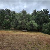 Franklin Canyon Park - Santa Monica Mountains Conservancy - SMMC