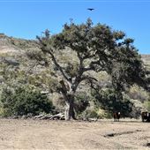ADM Ranch