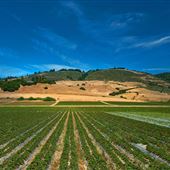 Watsonville