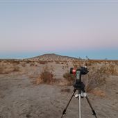 Desert Bliss