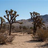 Saddleback Butte State Park (SP)