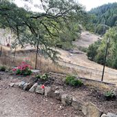 Long Creek Ranch