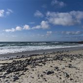 Asilomar State Beach and Conference Grounds