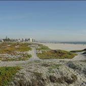 Coronado City Beach
