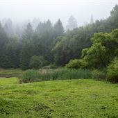 Austin Creek State Recreation Area (SRA)