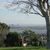 Kate Sessions Memorial Park