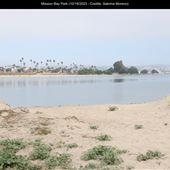 Mission Bay Park