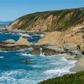 Bodega Head / Dunes