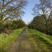 Delta Meadows Park Property
