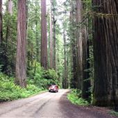 Howland Hill Road