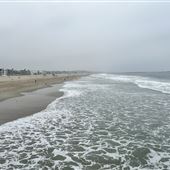 Venice Beach, Boardwalk, Pier & Recreation Center