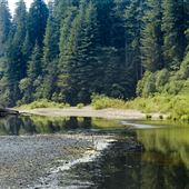 Humboldt Redwoods State Park (SP)