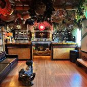 Birds of Paradise Lounge