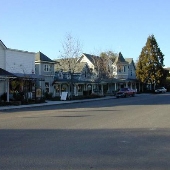 Los Olivos