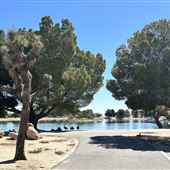 Apollo Community Regional Park