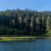 Mendocino Headlands State Park (SP)