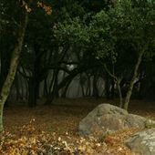 Windermere Ranch