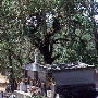 Olive Hill Cemetery