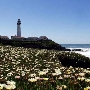 Pigeon Point Light Station State Historic Park (SHP) and Hostellng Accommodations