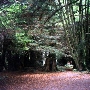 Pomo Canyon (Sonoma Coast State Park)