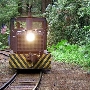 Roaring Camp Railroad