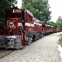 Roaring Camp Railroad