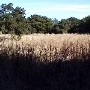 Rocky Oaks - National Park Service (NPS)