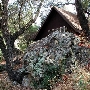 The Lawrence M. Daley Camp and Conference Center, Camp Gilmore, Camp Daley, & Wilderness