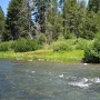 Truckee River