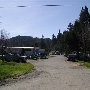 Branscomb Town