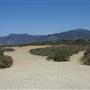 Point Dume Bluffs / Headlands / Big Dume Beach and Pirates Cove Beach @ Point Dume State Preserve - CFC