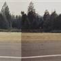 Trinity Center Airport / James E. Swett Field